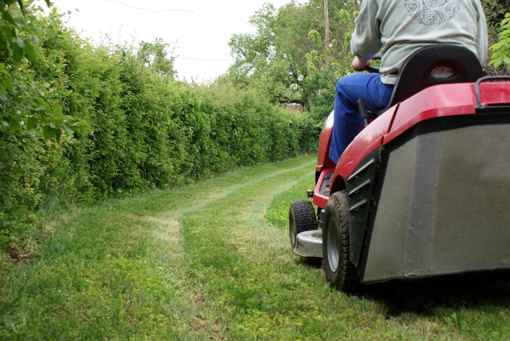 Homme passant la tondeuse sur un tracteur dans un grand jardin